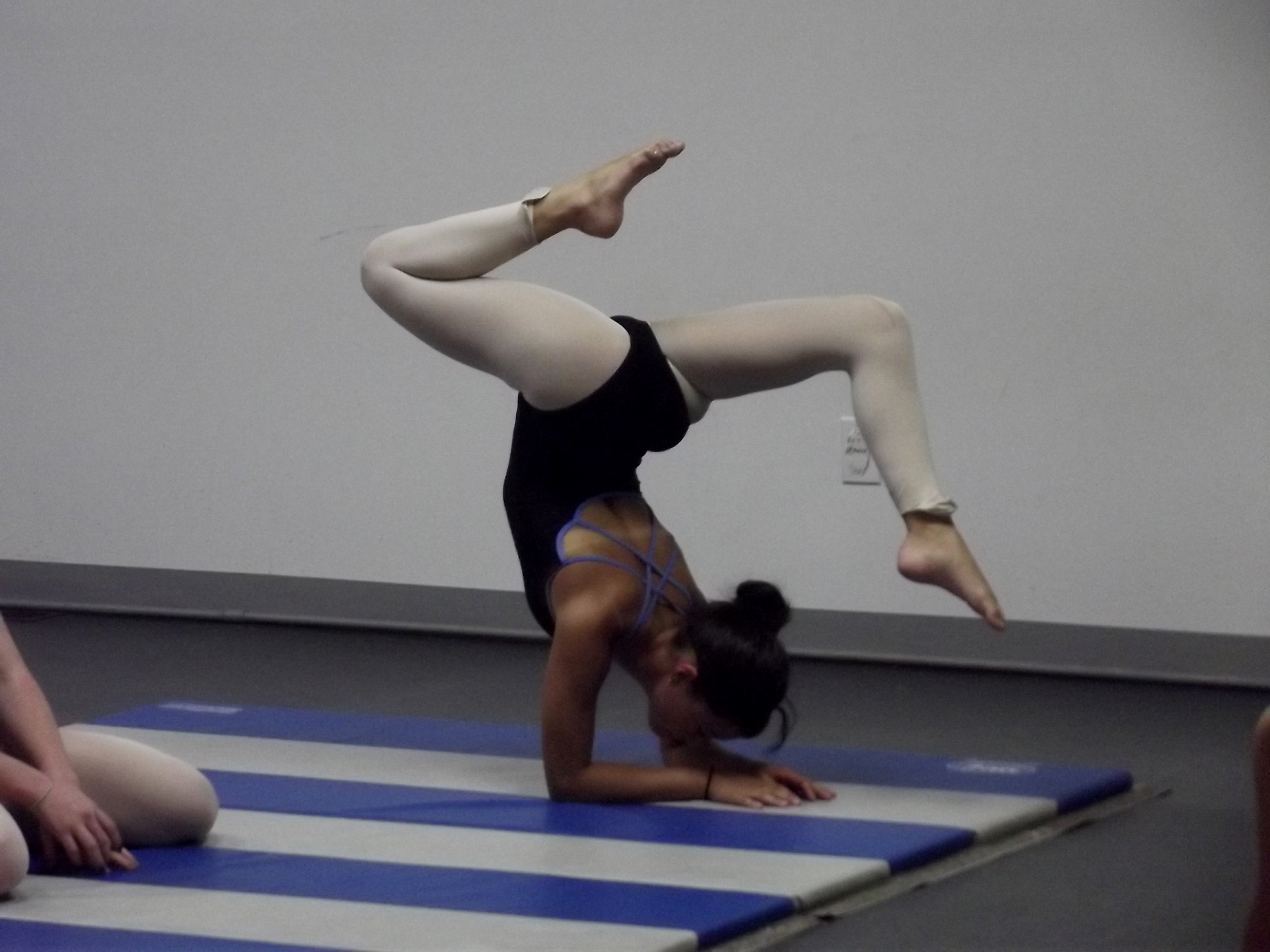 carlyacro.jpg